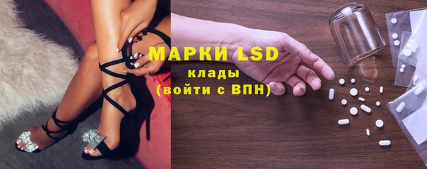 хмурый Пересвет