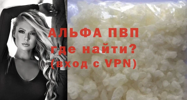 гашик Пестово