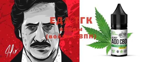 хмурый Пересвет