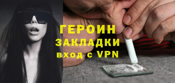 хмурый Пересвет
