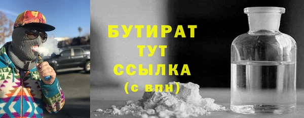 хмурый Пересвет