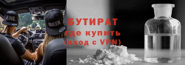 хмурый Пересвет
