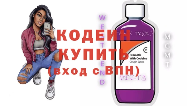 гашик Пестово