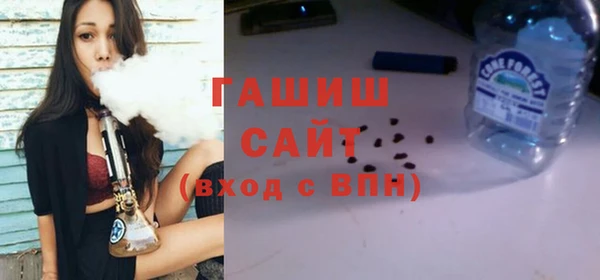 гашик Пестово