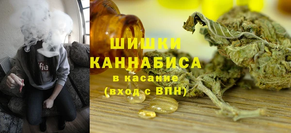 хмурый Пересвет