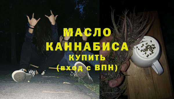 хмурый Пересвет