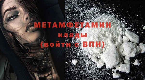 хмурый Пересвет