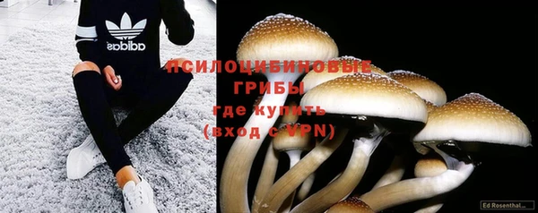 шишки Остров