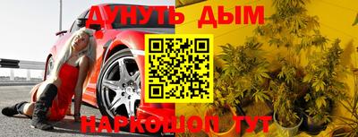 гашик Дубна