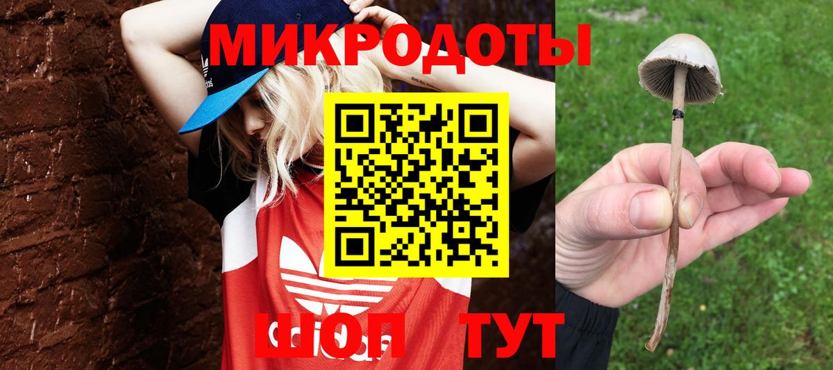 Псилоцибиновые грибы Magic Shrooms  Вход с VPN  Стрежевой 